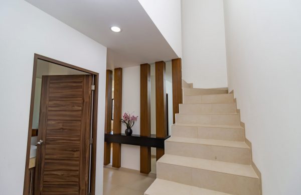 lyra-escalera-2